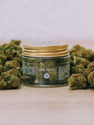 jack-herer-2