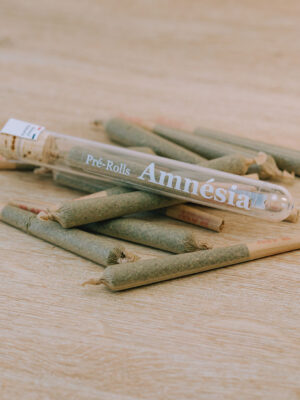Pre Roll Amnesia