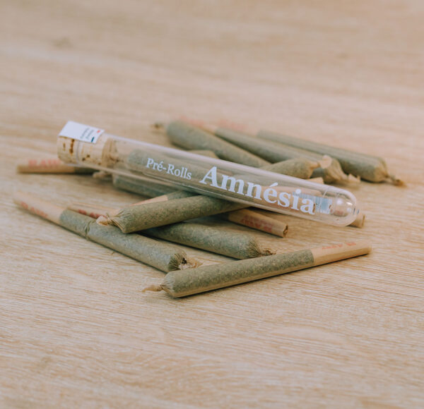 Pre Roll Amnesia