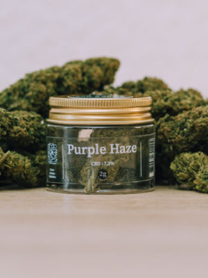 purple-haze-3